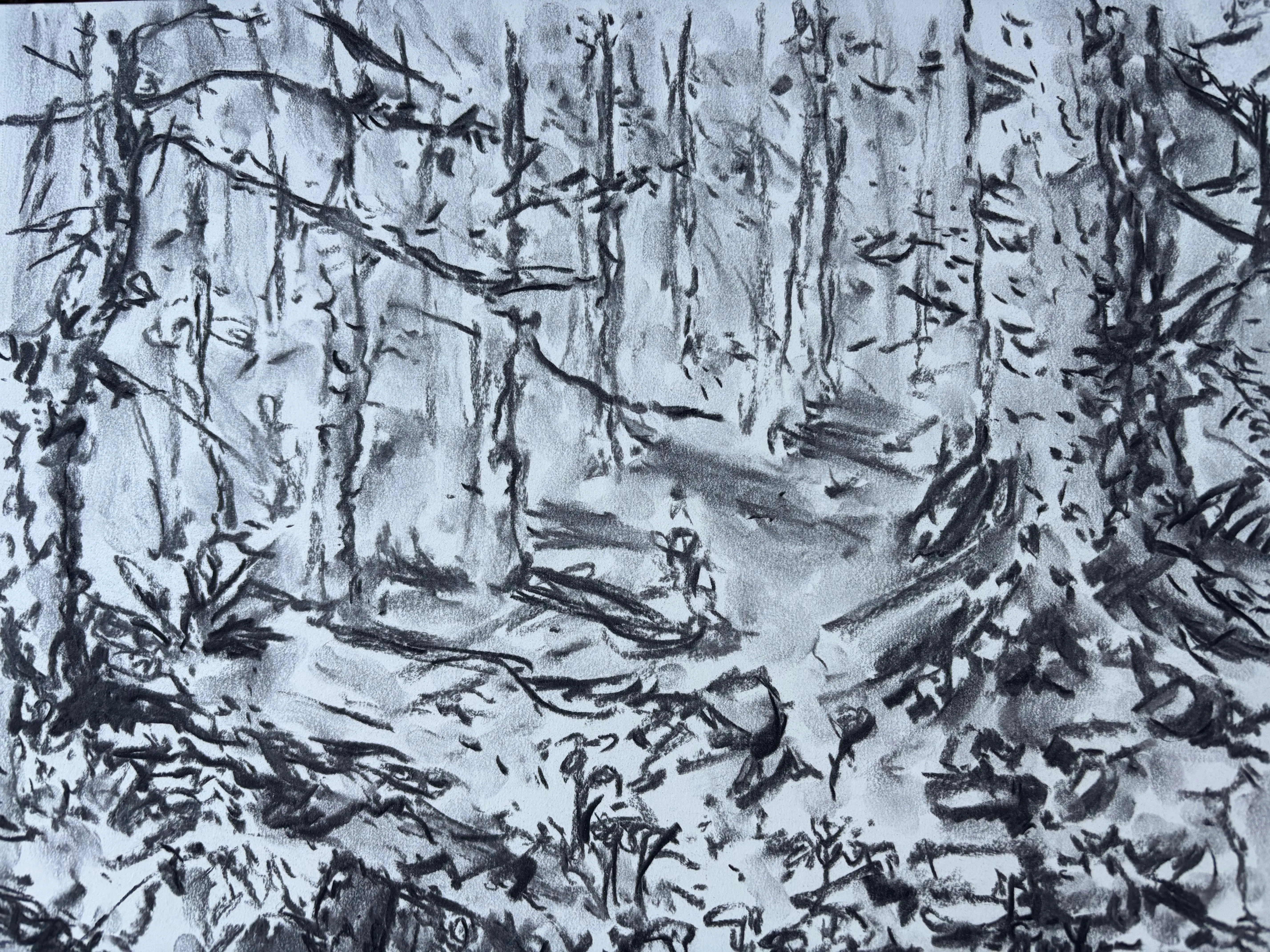 Drawing